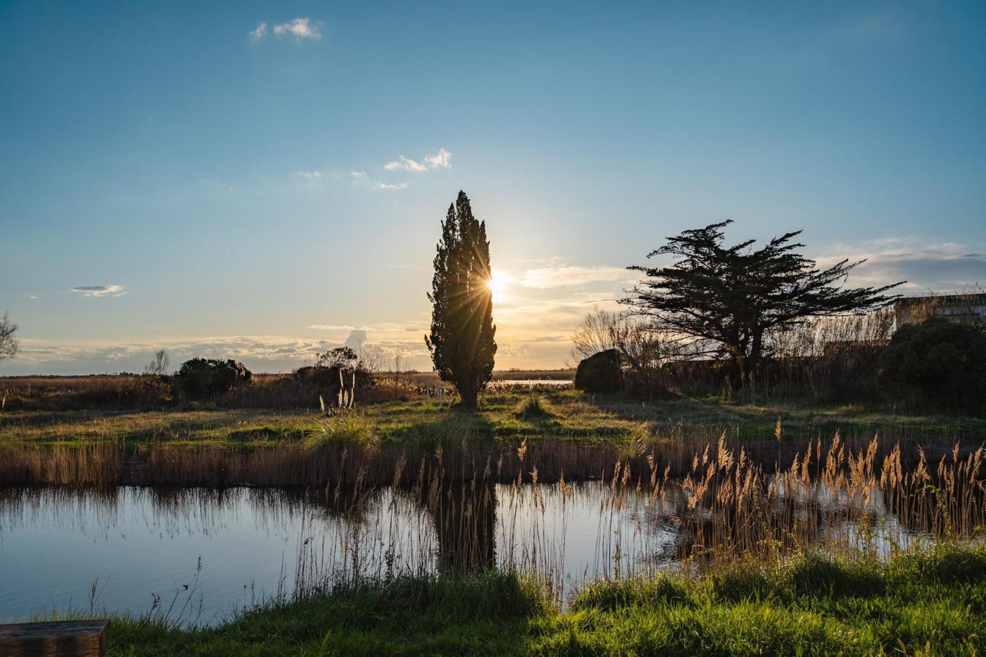 Bed & Breakfast Mas Du Couvin, En Camargue