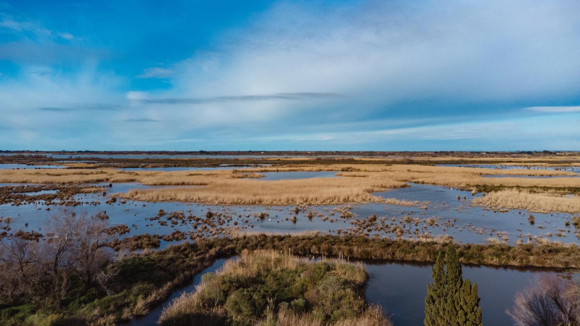 Mas Du Couvin, En Camargue 5* Saintes-Maries-de-la-Mer