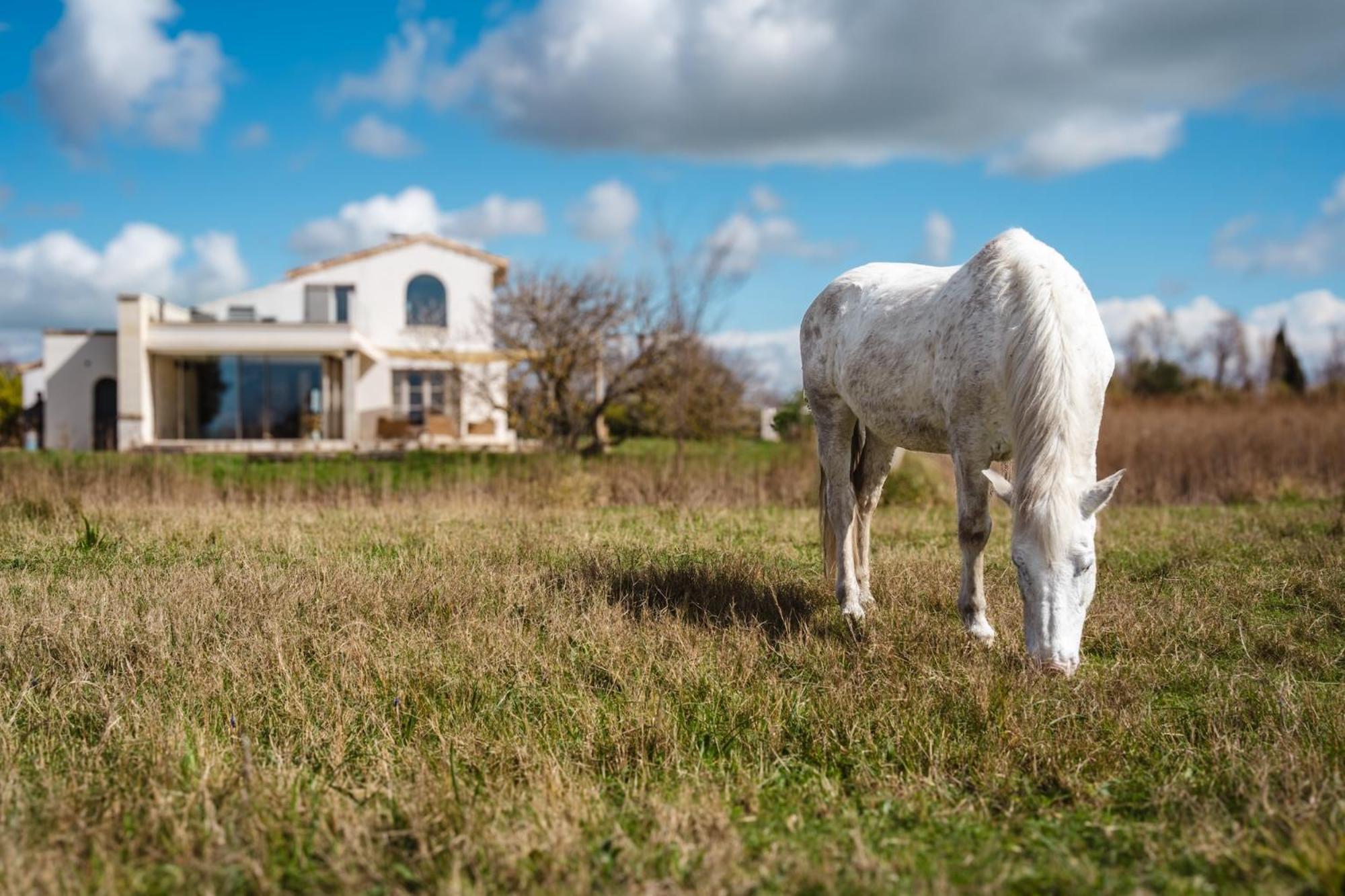 Bed & Breakfast Mas Du Couvin, En Camargue 5*