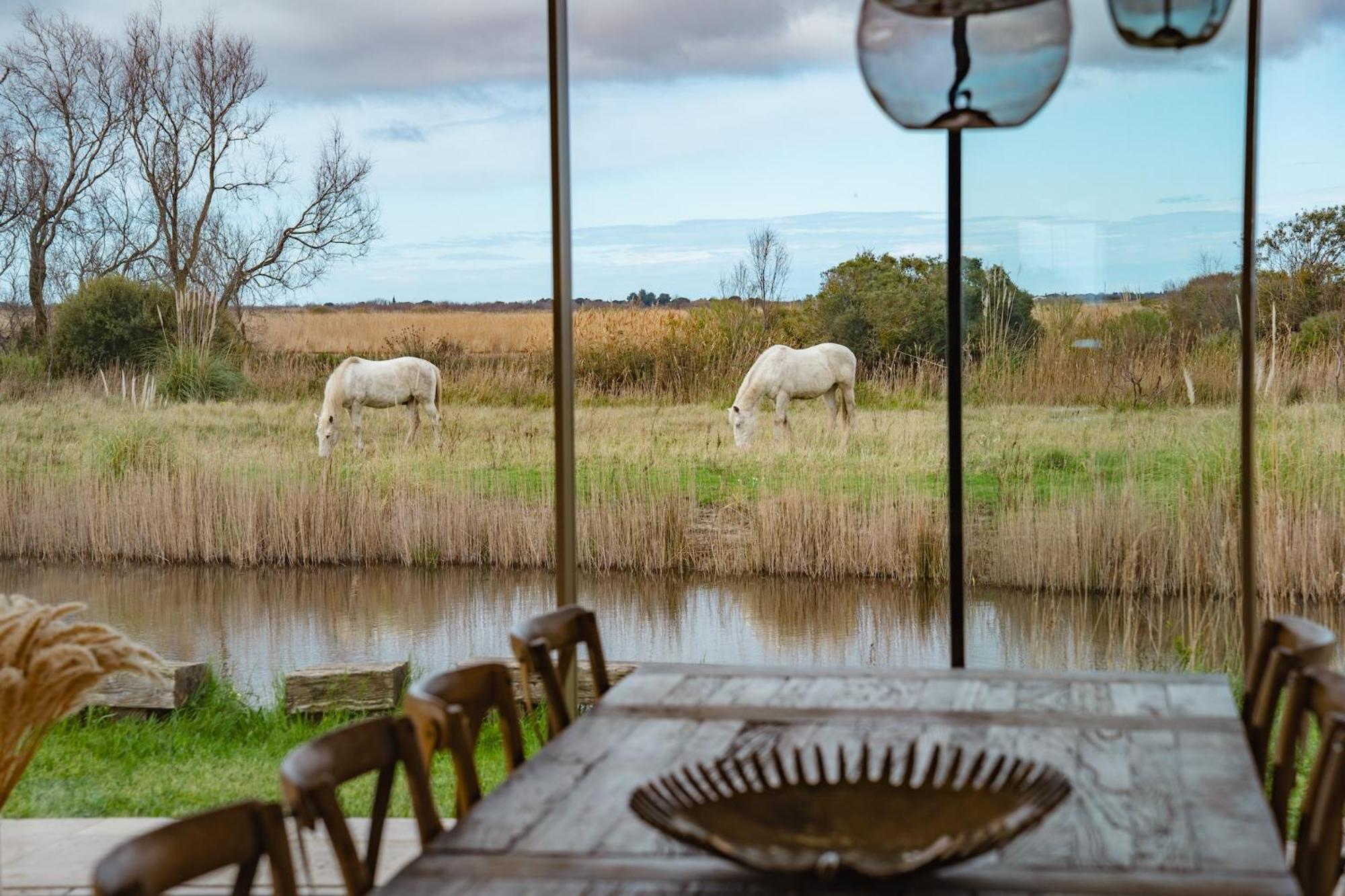 Mas Du Couvin, En Camargue Saintes-Maries-de-la-Mer