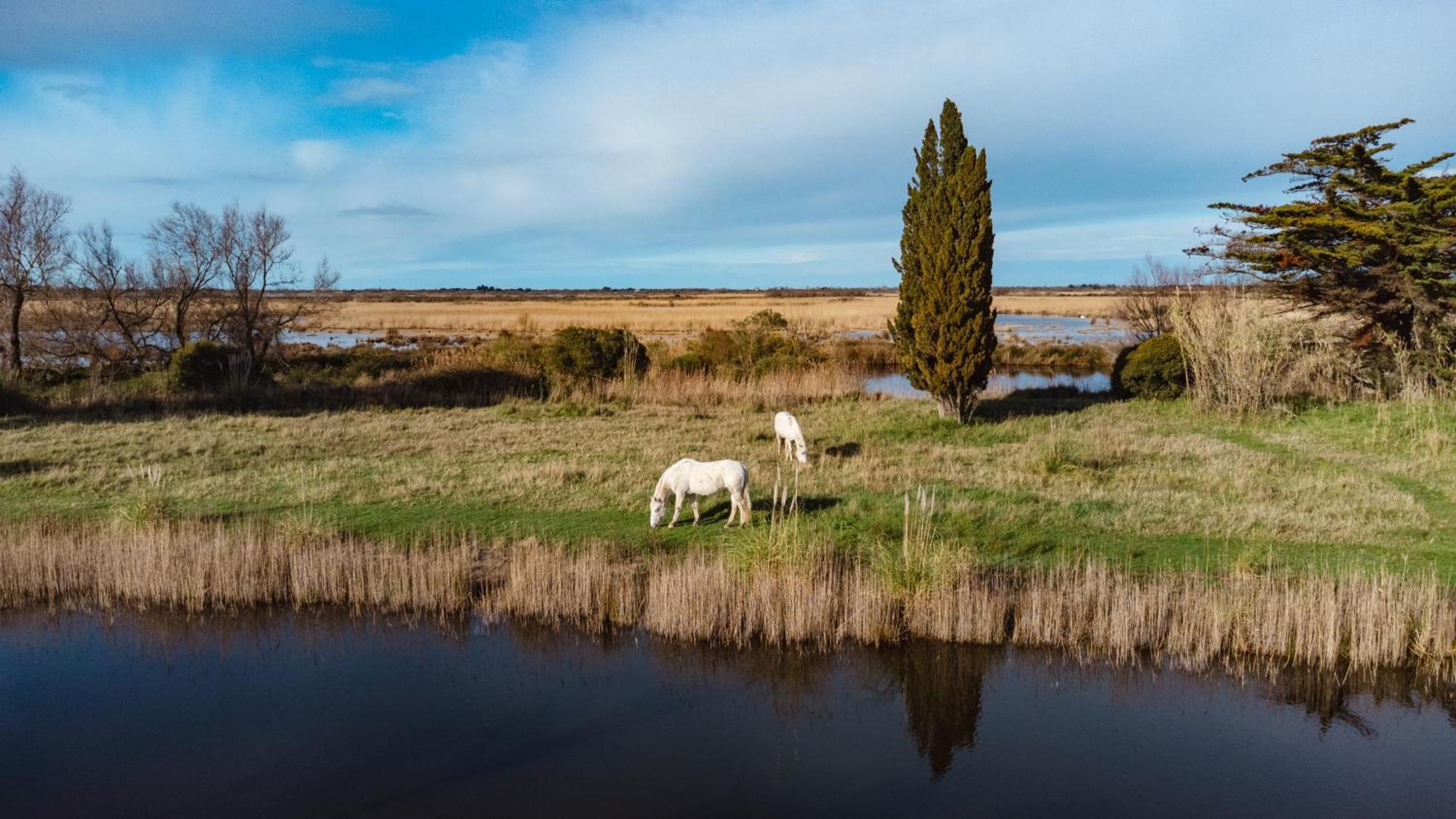 Bed & Breakfast Mas Du Couvin, En Camargue